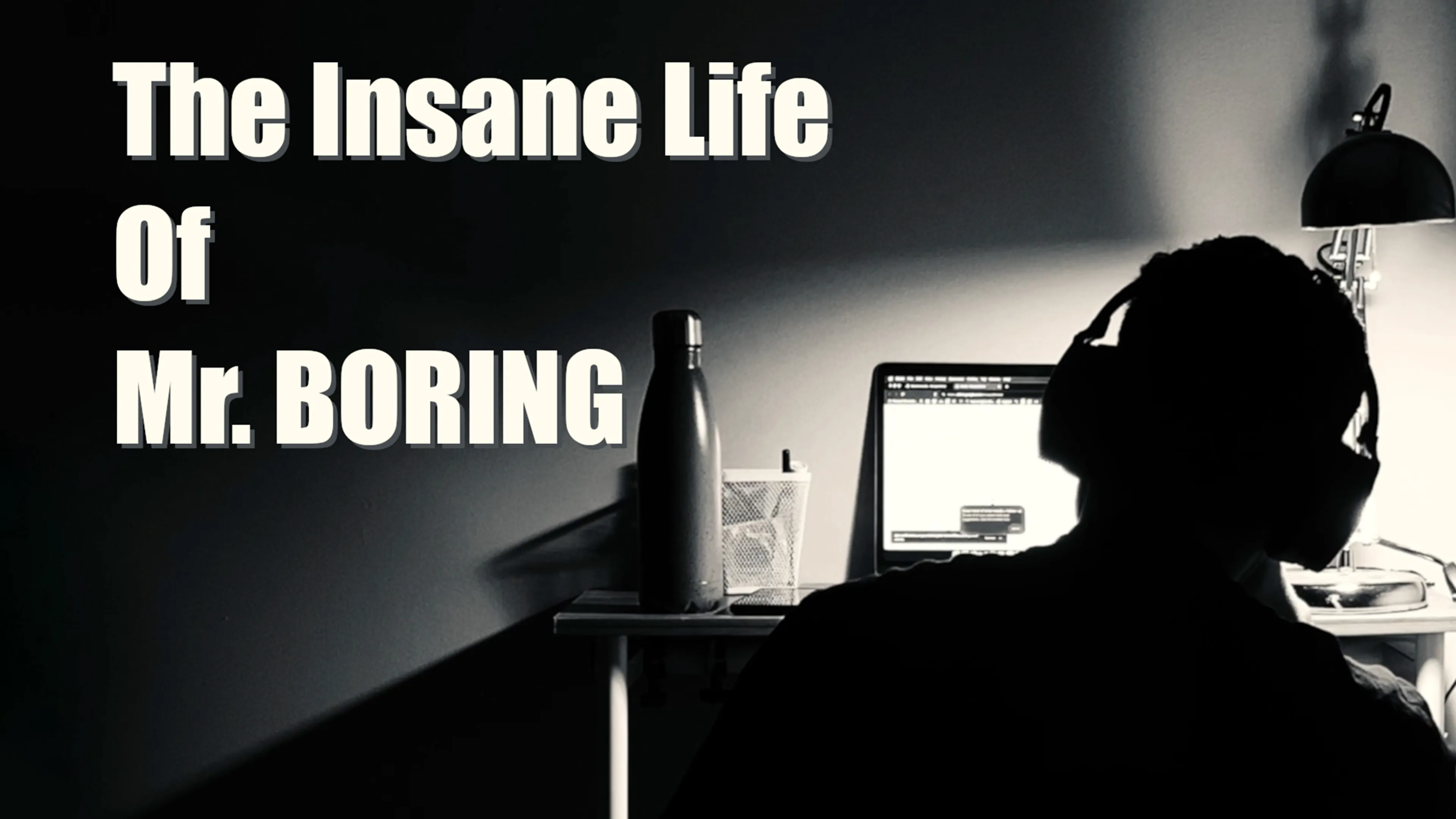 The Insane Life Of Mr. Boring poster